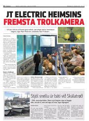 Síða 12