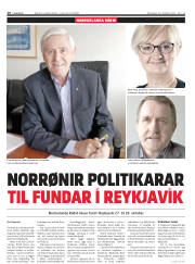 Síða 16
