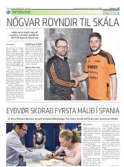 Síða 31