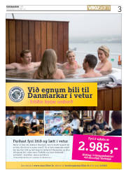 Síða 3