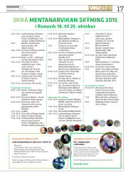Síða 17