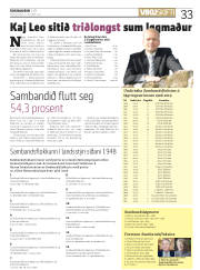 Síða 33