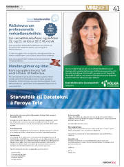Síða 41