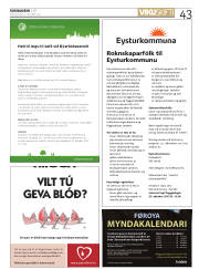 Síða 43