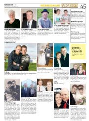 Síða 45