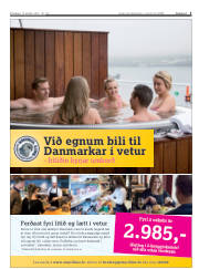 Síða 3