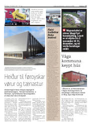 Síða 17