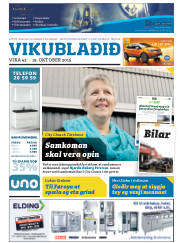 Síða 33