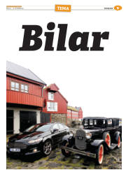 Síða 41