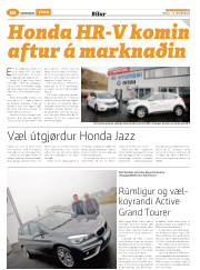 Síða 42