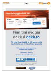Síða 45