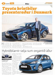Síða 50
