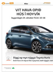 Síða 52