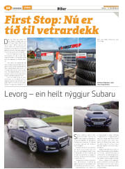 Síða 60