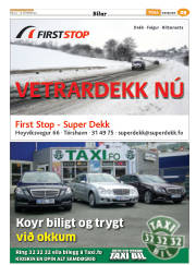 Síða 61
