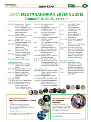 Síða 65