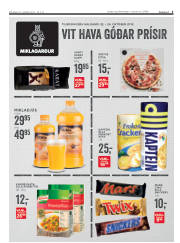 Síða 3