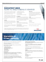 Síða 17