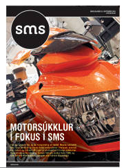 Síða 33