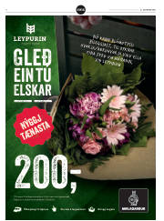 Síða 40