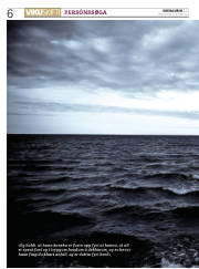 Síða 6