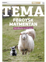 Síða 11