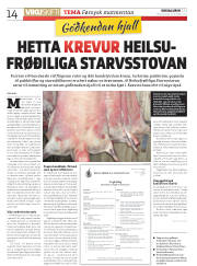 Síða 14