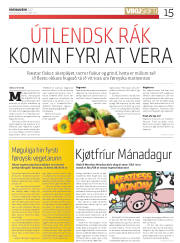 Síða 15