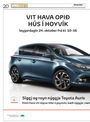 Síða 20