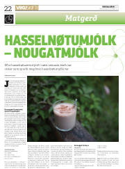 Síða 22