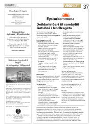 Síða 37