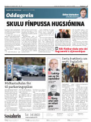 Síða 2