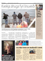 Síða 12