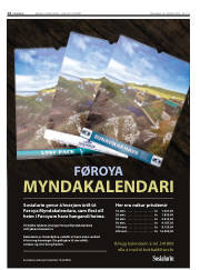 Síða 14