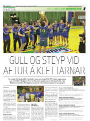 Síða 22