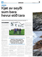 Síða 52