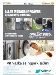 Síða 85