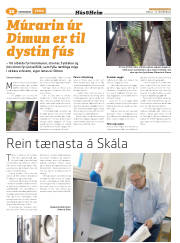Síða 88