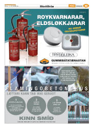 Síða 91