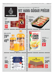 Síða 3
