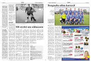 Síða 10
