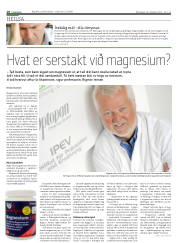 Síða 18