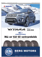 Síða 32
