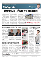 Síða 2