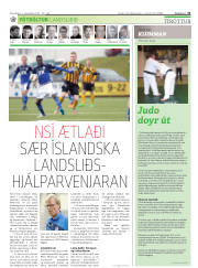 Síða 31
