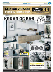 Síða 41