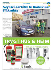Síða 43