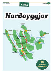 Síða 45