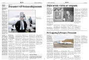 Síða 4