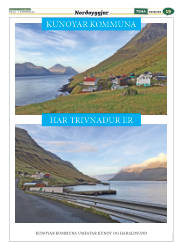 Síða 51